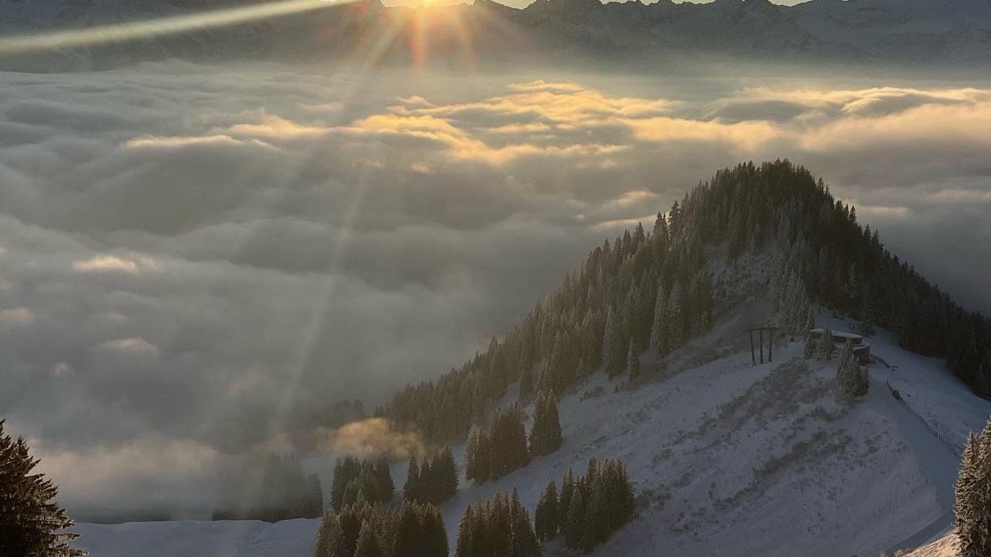 Sonnenaufgang über einem Nebelmeer, ein bewaldeter Grat ragt heraus